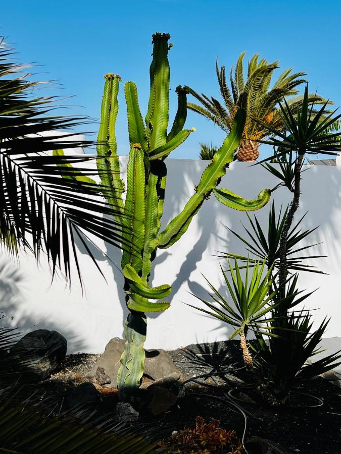 Casa Alizee, Heated Pool, Hot Tub Villa Playa Blanca  Bagian luar foto