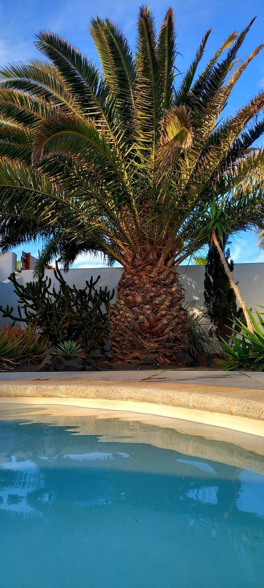 Casa Alizee, Heated Pool, Hot Tub Villa Playa Blanca  Bagian luar foto